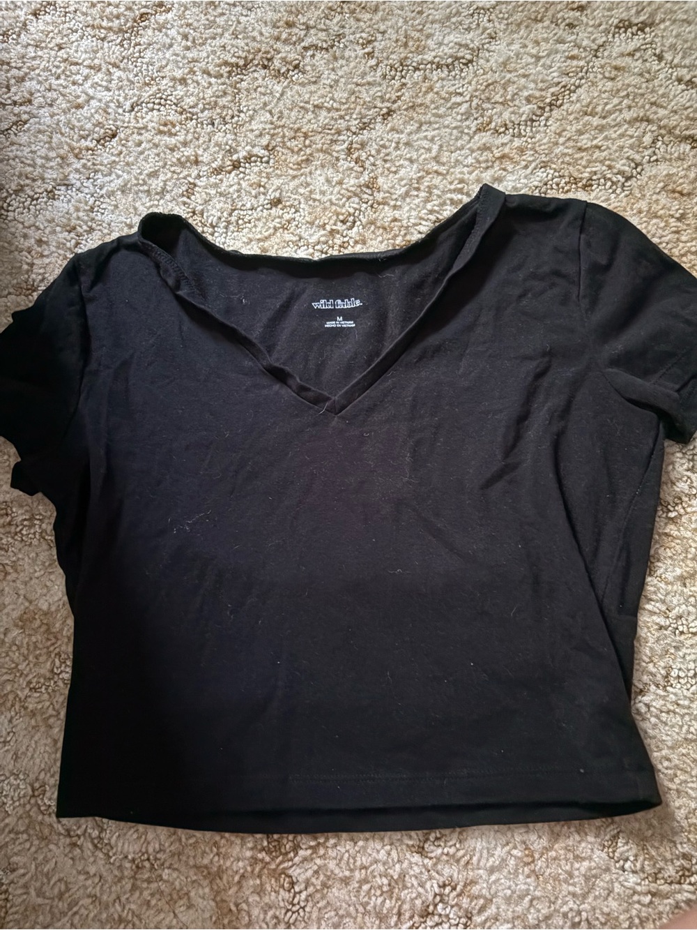 Black V-Neck Crop Tee